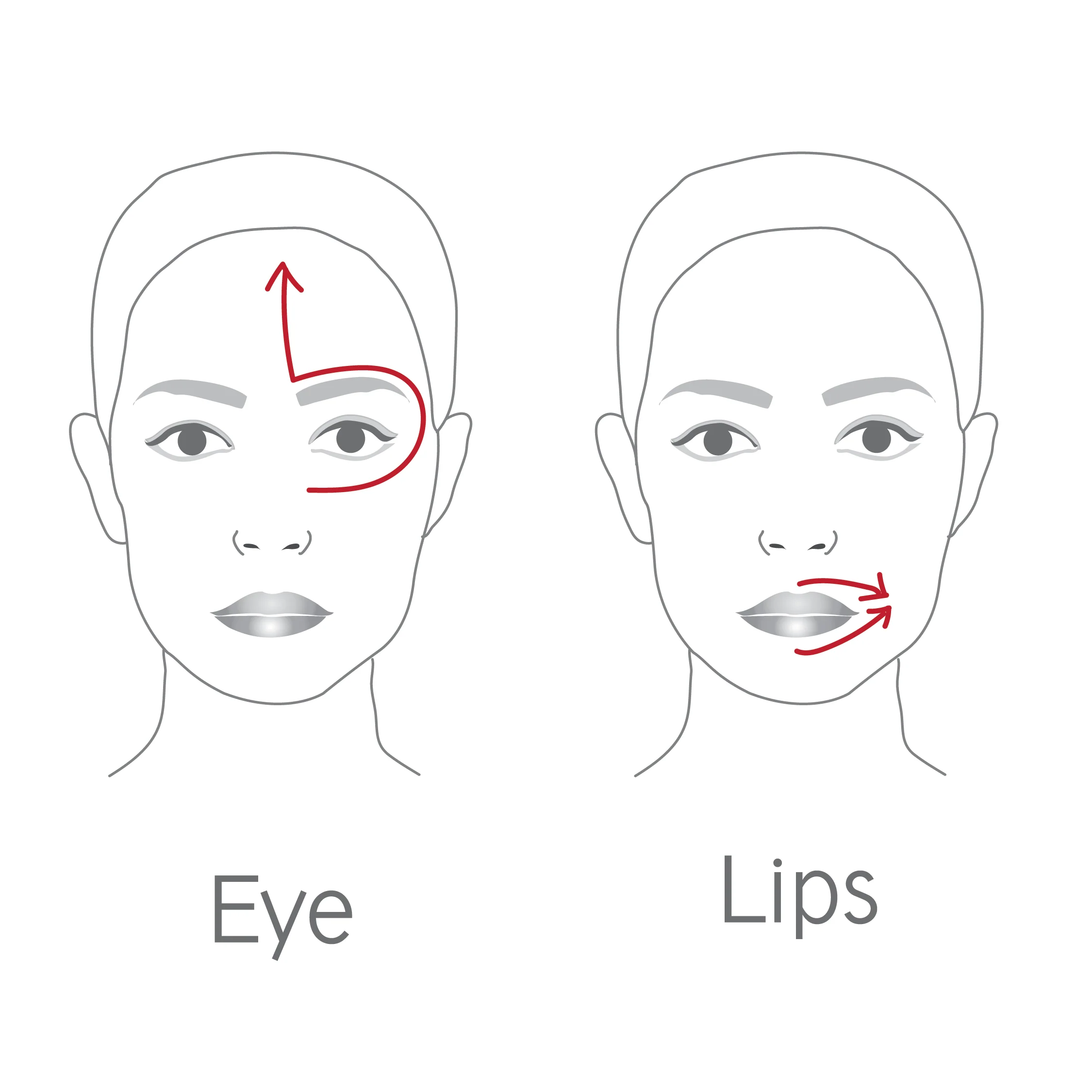 Dr. LEVY | The Contour Pro - Image 8