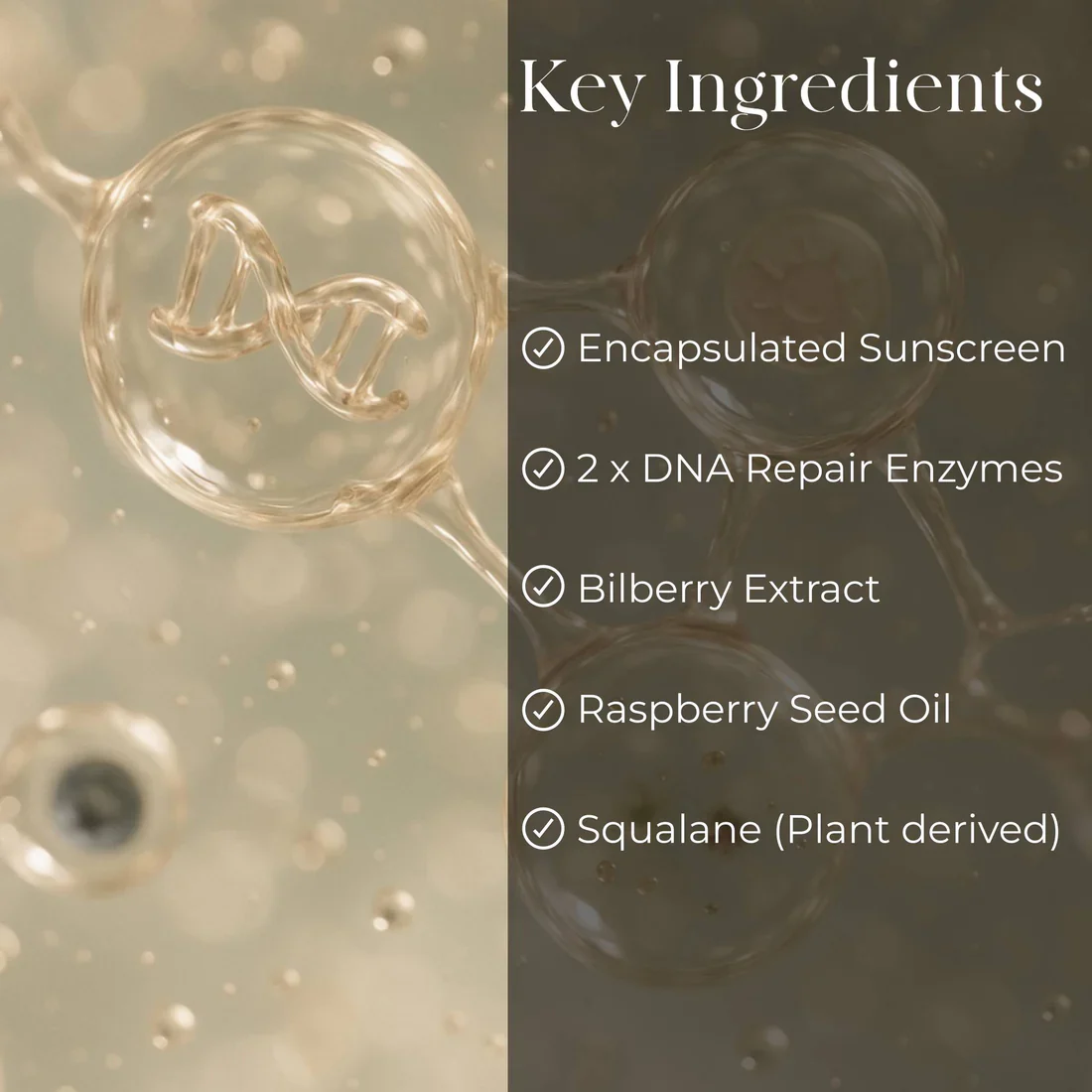 The Skin Diary | Age Defence Moisturising Day Cream SPF50 (50ml) - Image 5